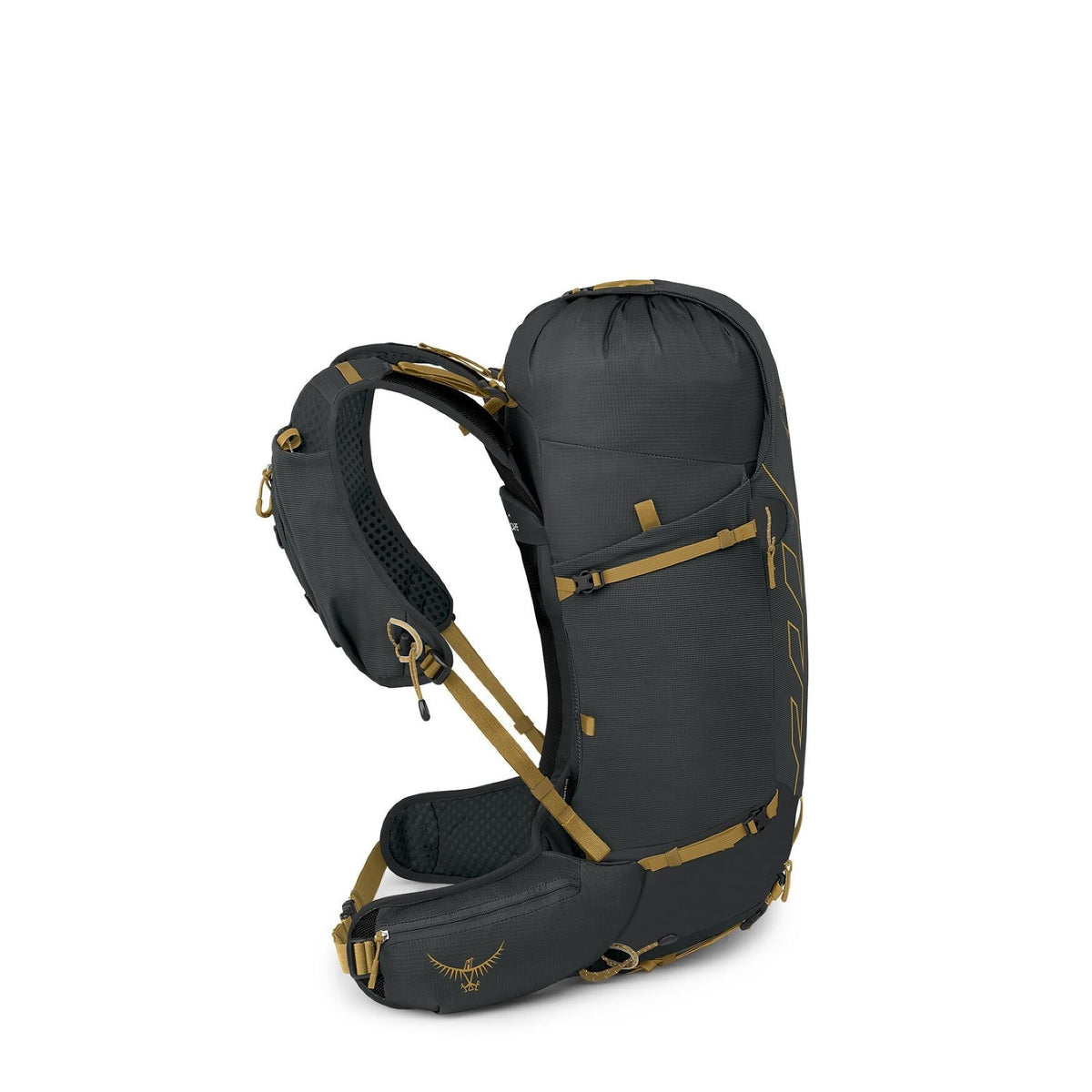 Men's Talon Velocity 30 - S/M