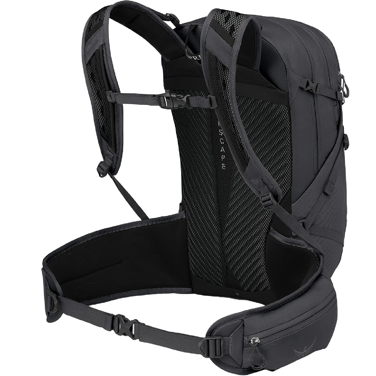 Sportlite 25 EF