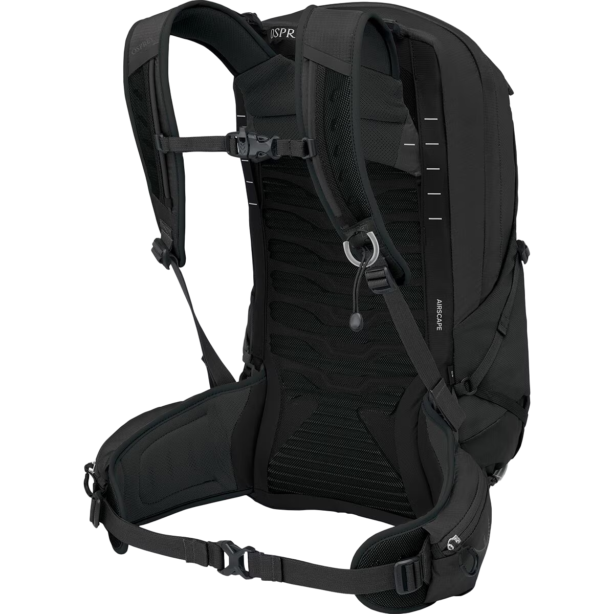 Talon 22