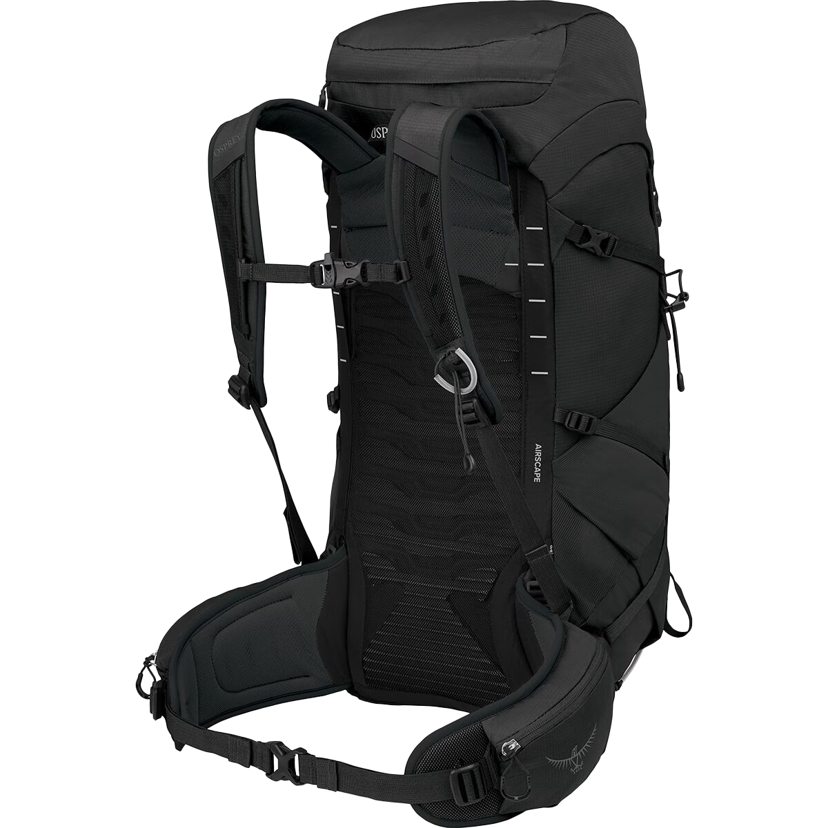 Talon 33