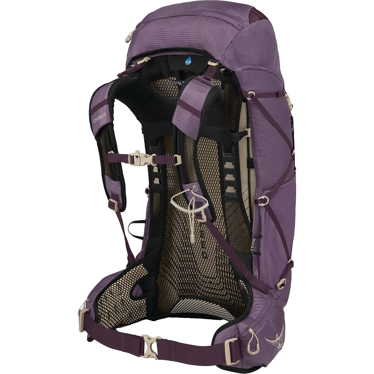 Women's Eja 38