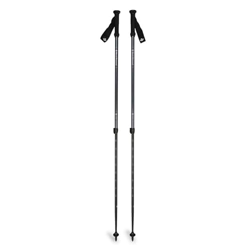 Black Diamond Explorer 2 Trekking Poles