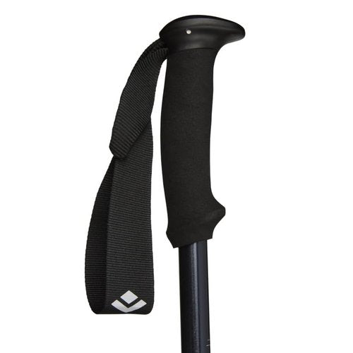 Black Diamond Explorer 2 Trekking Poles, Ink Blue