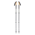 Black Diamond Alpine Carbon Cork Trekking Poles