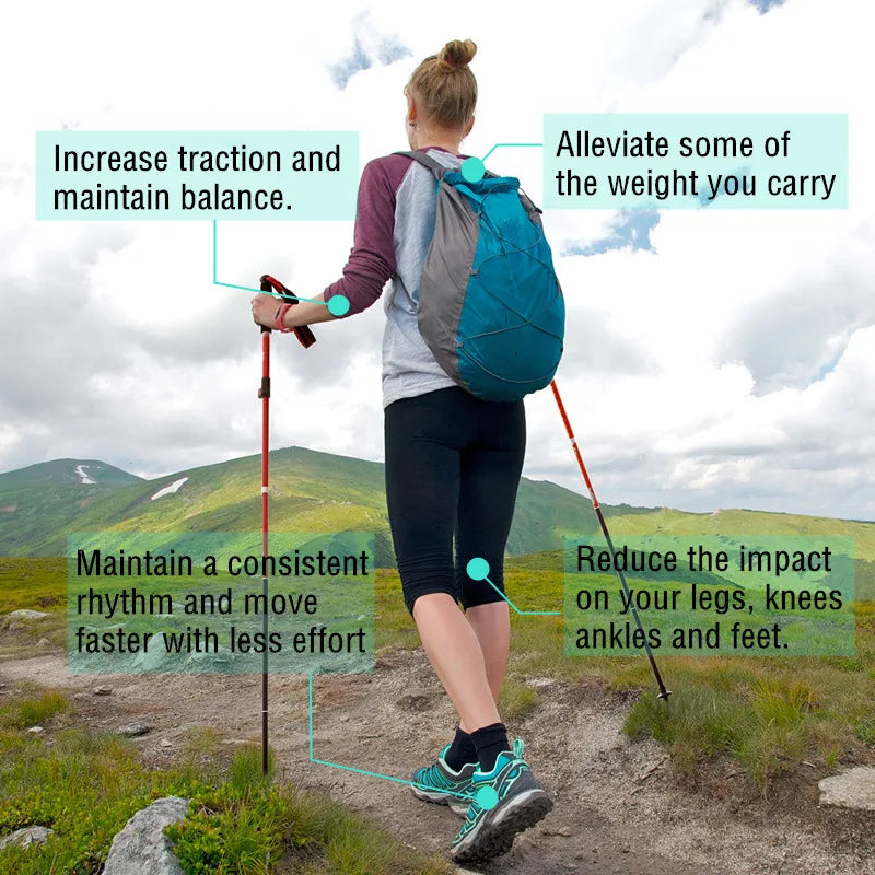 Naturehike Folding Trekking Poles - Adjustable Aluminum Hiking Sticks