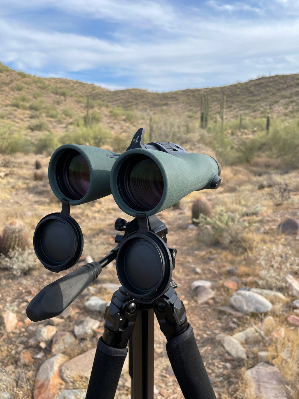 Swarovski 10x52 NL Pure Binocular
