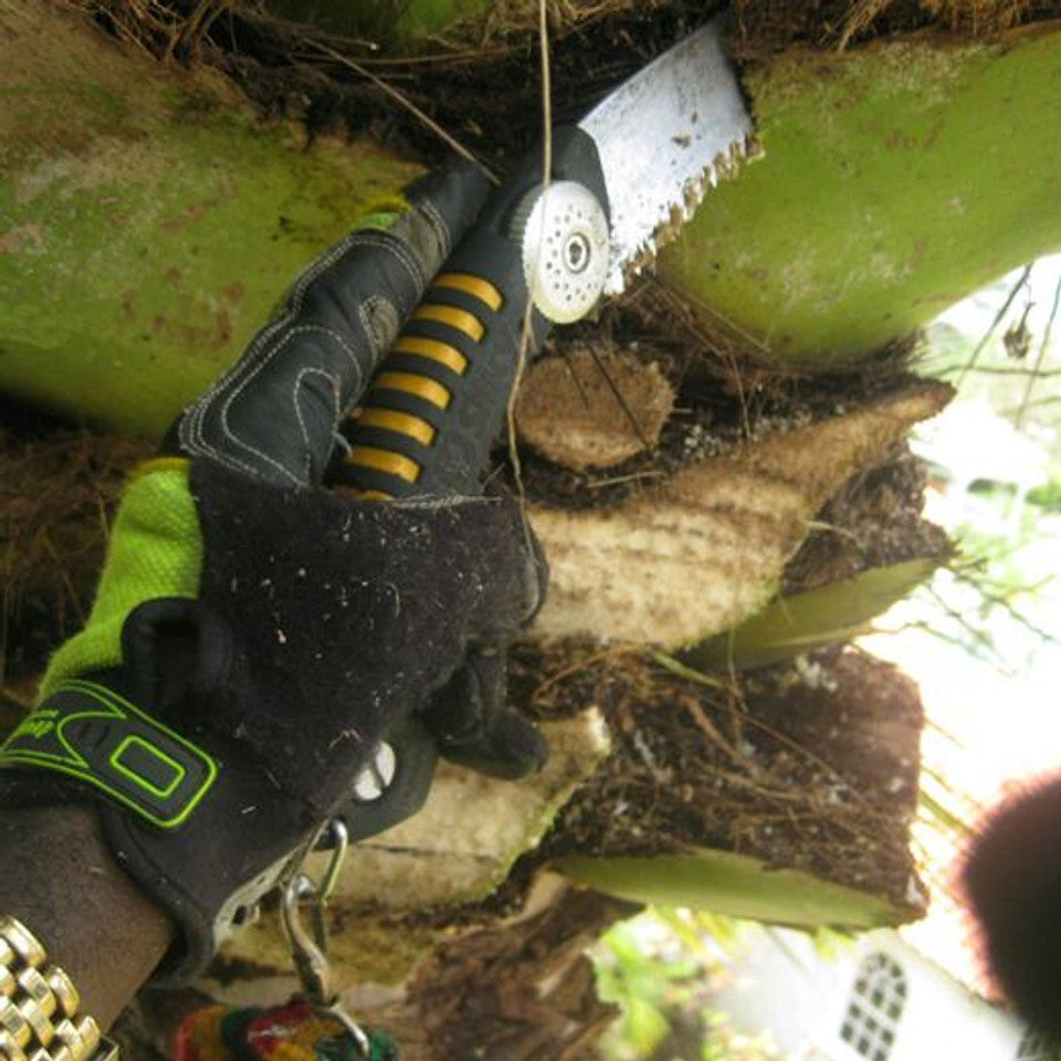 Silky Sugoi Pro Arborist Sheath Saw 420 - Curved - XLarge Teeth (390-36)