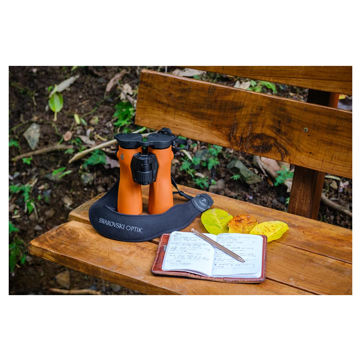 Swarovski 10x42 NL Pure Binocular