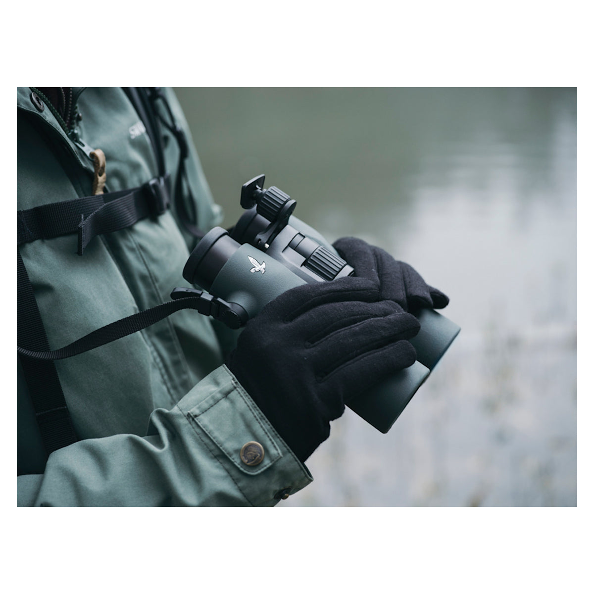 Swarovski 12x42 NL Pure Binocular
