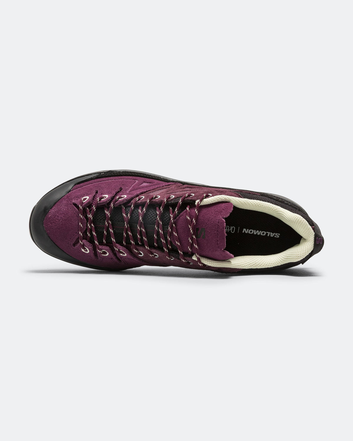 X-ALP Leather - Winter Bloom/Plum Perfect-Lime Cream
